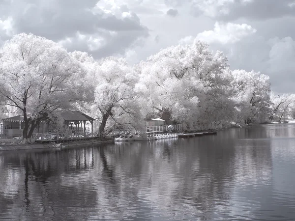 On territory of the Exhibition complex. Infrared Photography — Stock Photo, Image