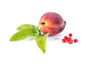 Olgun meyve ve yaprakları nane