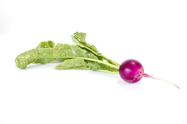 Radish by closeup — Stock Photo, Image