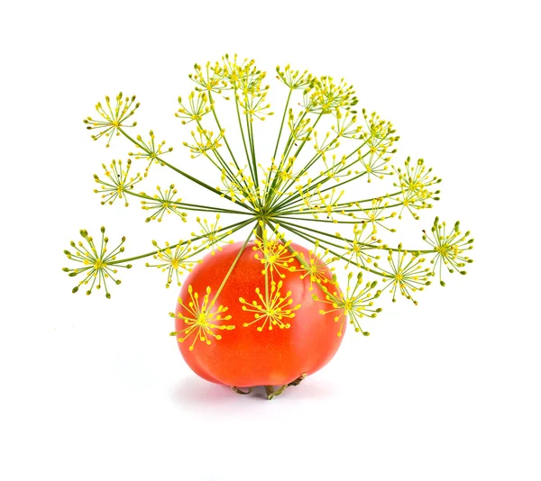 Verduras maduras sobre blanco — Foto de Stock