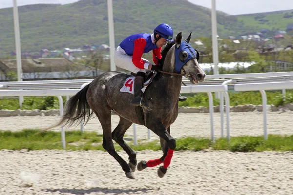 Jockey på häst — Stockfoto