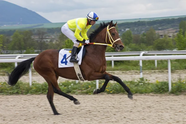Jockey på häst — Stockfoto