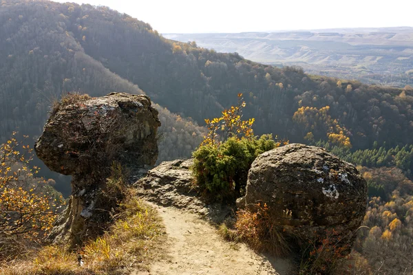 Panorama de un cañón en el Kislovodsk — Foto de Stock