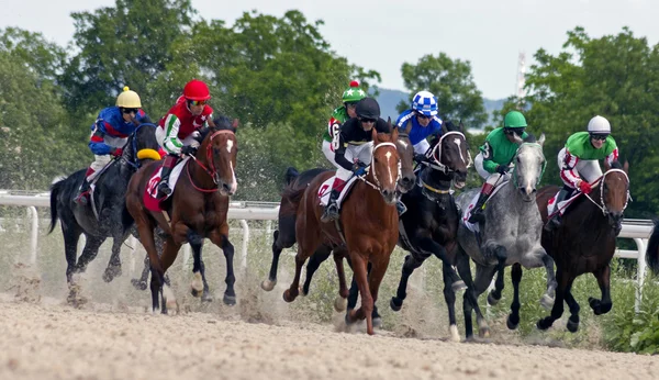 ピャチゴルスクでの競馬. — ストック写真