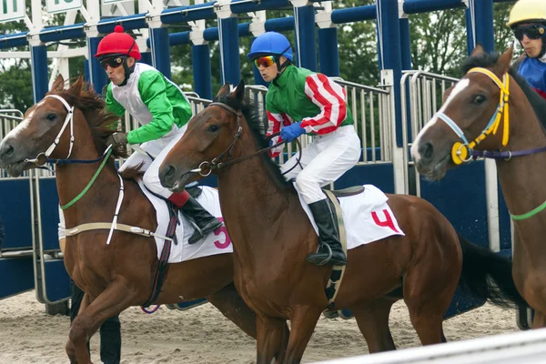 Iniciar carreras de caballos . — Foto de Stock