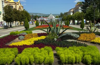 Kislovodsk flowerbed.