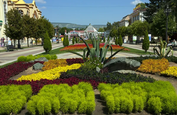 Blomsterrabatt i Kislovodsk. — Stockfoto