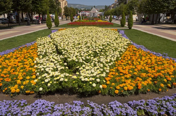 Blumenbeet in Kislowodsk. — Stockfoto