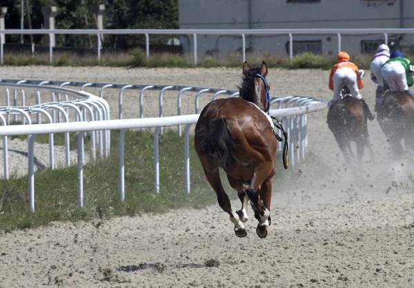 馬は騎手を振り落とした — ストック写真