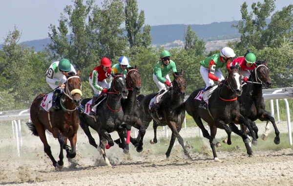 ピャチゴルスクでの競馬. — ストック写真