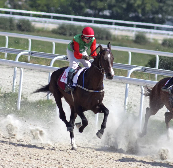 Corrida de cavalos em Pyatigorsk. — Fotografia de Stock