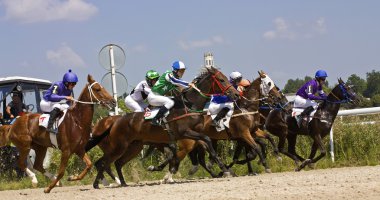 Pyatigorsk 'ta at yarışı.