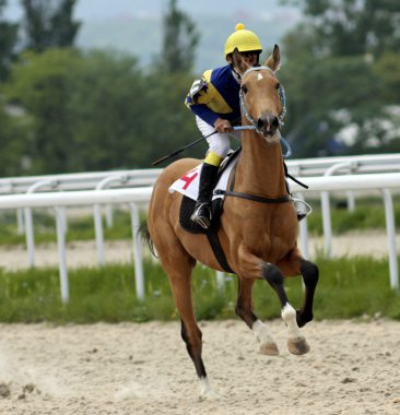 Yarış Sanamer Ödülü için 