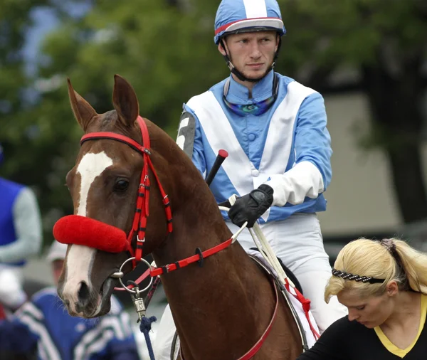 Antes da corrida de cavalos . — Fotografia de Stock