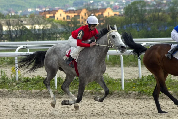 Wyścigi konne w Pyatigorsku. — Zdjęcie stockowe