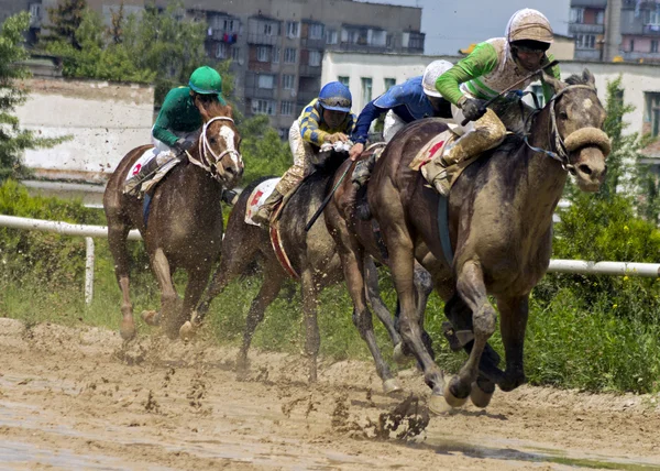 Horse racing in Nalchik. — Stock Photo, Image