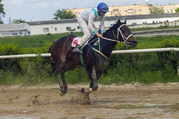 Horse racing in Nalchik. — Stock Photo, Image
