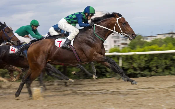 Horse racing in Nalchik. Stock Picture
