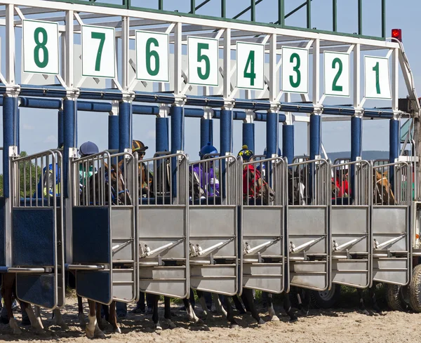 Iniciar carreras de caballos en Pyatigorsk . —  Fotos de Stock