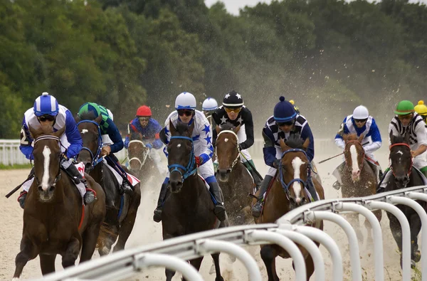 Hästkapplöpning finish — Stockfoto