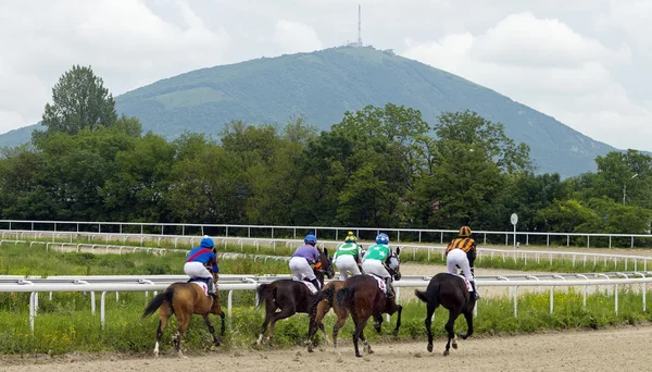 Corrida de cavalos em Pyatigorsk. — Fotografia de Stock