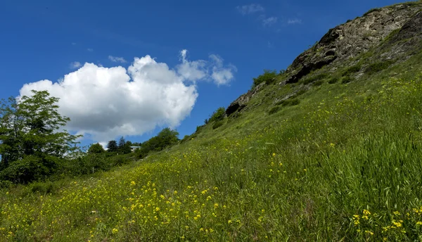 Frühlingslandschaft im Kaukasus — Stockfoto