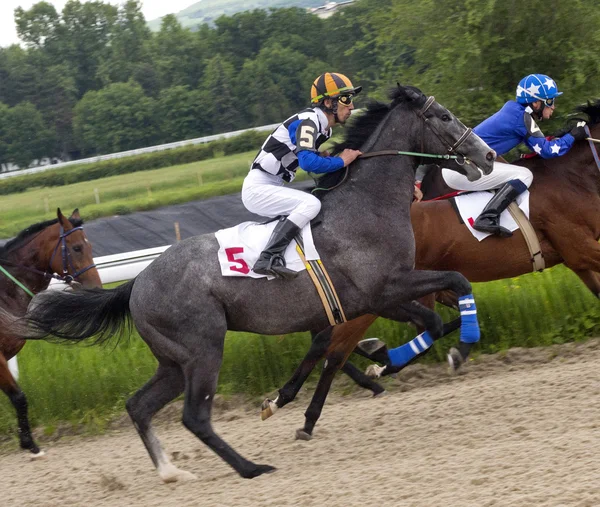 ピャチゴルスクでの競馬. — ストック写真