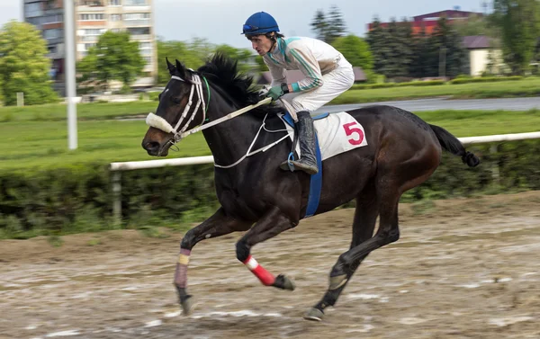 Corrida de cavalos em Nalchik . — Fotografia de Stock