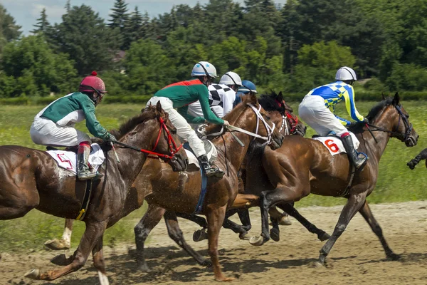 Corrida de cavalos em Nalchik . — Fotografia de Stock