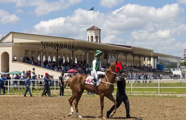 Prima della corsa dei cavalli . — Foto Stock