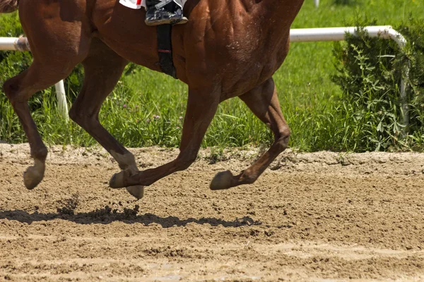 Course à cheval sur la piste de sable. — Photo