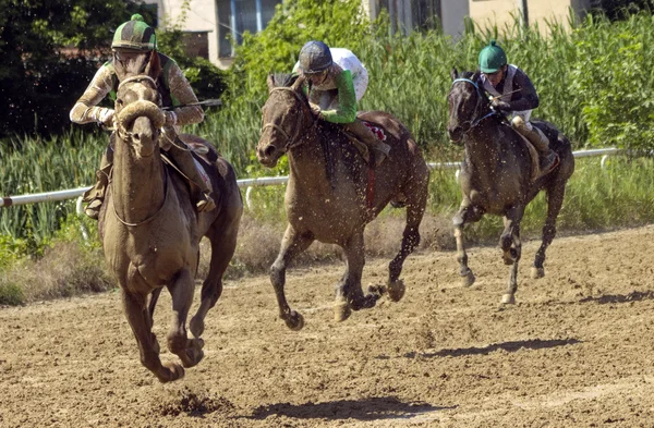 Corrida de cavalos em Nalchik . — Fotografia de Stock