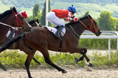 Yarış günü sağlık çalışanı Ödülü için