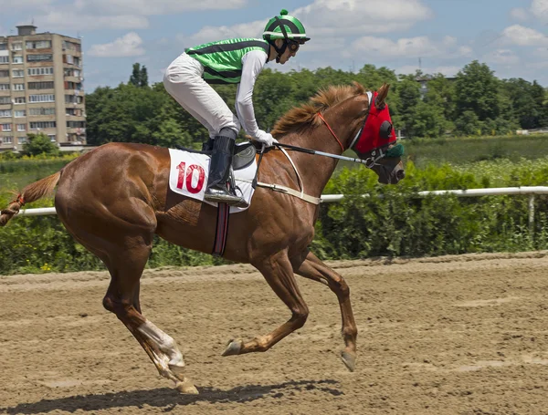Corsa di cavalli per il premio Baksan — Foto Stock