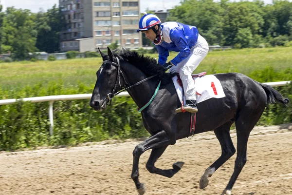 Horse race för priset Baksan — Stockfoto