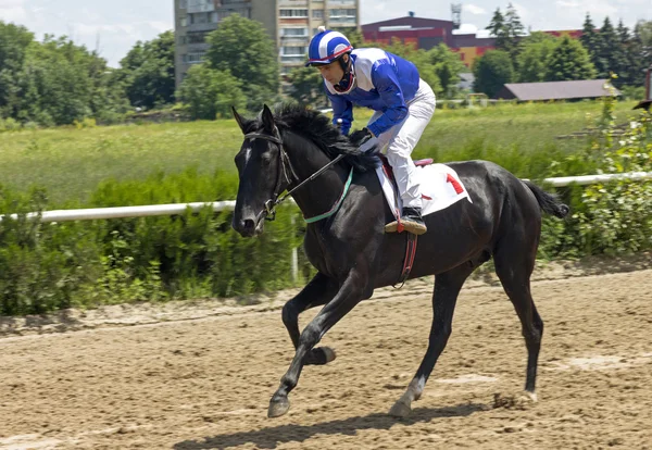 Carrera de caballos para el Premio de Baksan — Foto de Stock