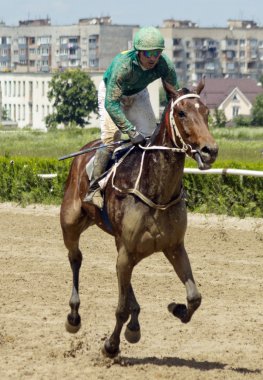 Nalçik yarış atı.