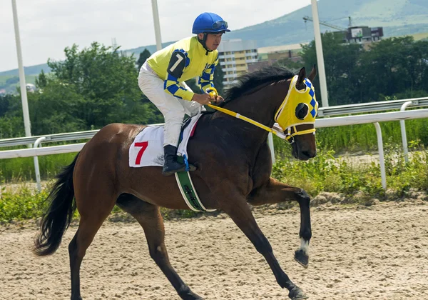 Innan hästkapplöpning — Stockfoto