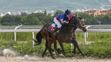 Pyatigorsk 'ta at yarışı