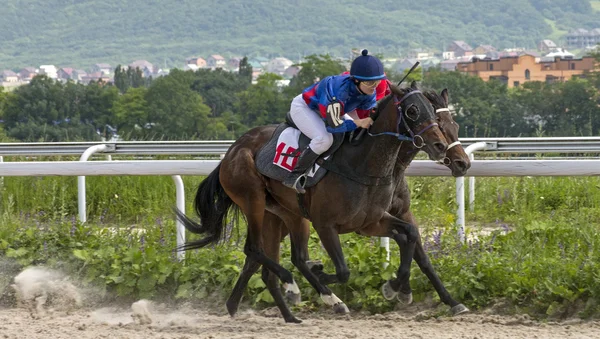 Hästkapplöpning i Pyatigorsk — Stockfoto