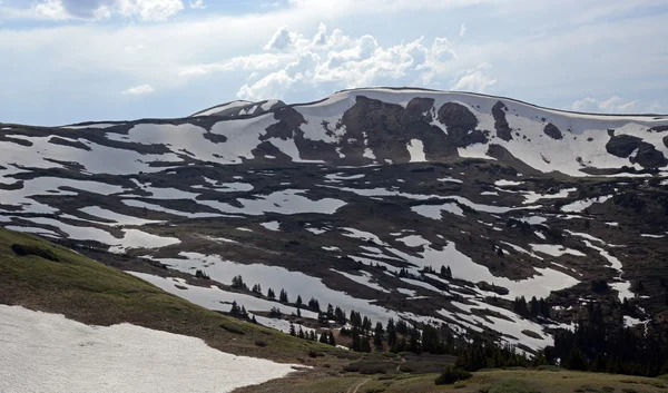 En Bergdal i sommardag, Colorado — Stockfoto