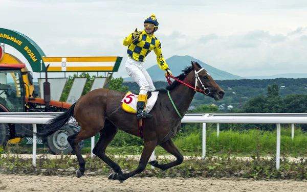 Paardenrace voor de prijs-eiken. — Stockfoto