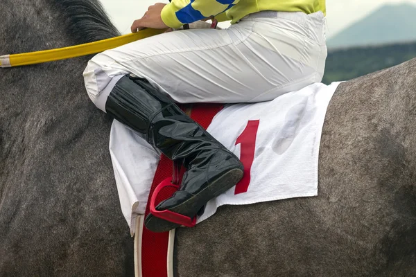 Race horse with number one — Stock Photo, Image