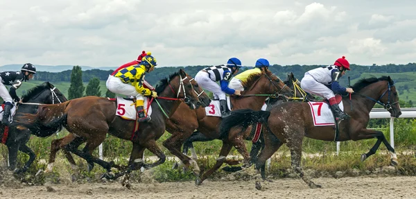 Corrida de cavalos em Pyatigorsk — Fotografia de Stock