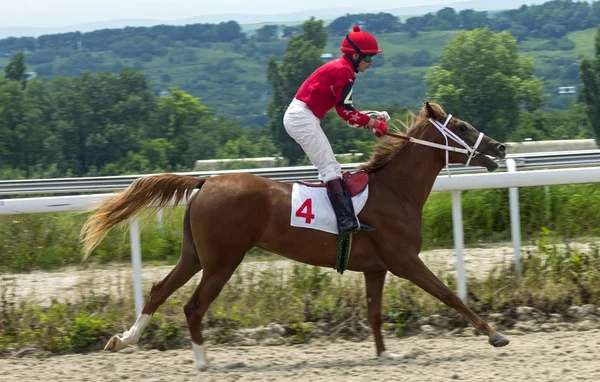 Corrida de cavalos em Pyatigorsk — Fotografia de Stock