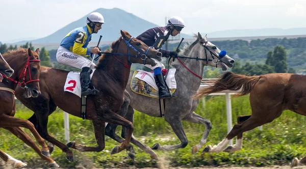 賞オークスの馬のレース. — ストック写真