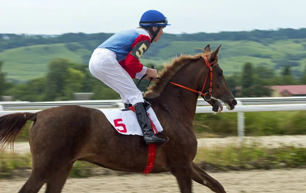 Carreras de caballos en Pyatigorsk — Foto de Stock