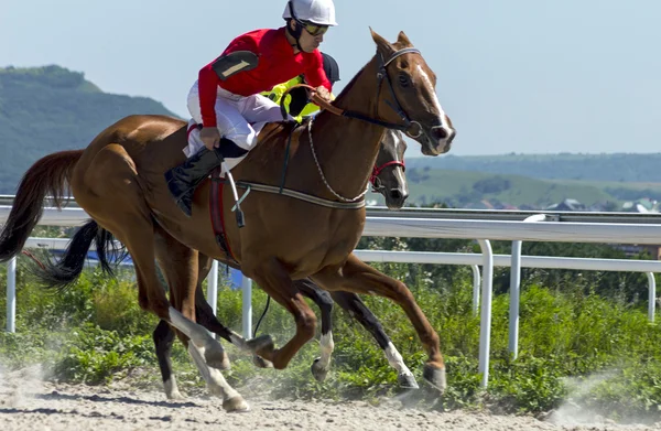 Hästkapplöpning i Pyatigorsk. — Stockfoto