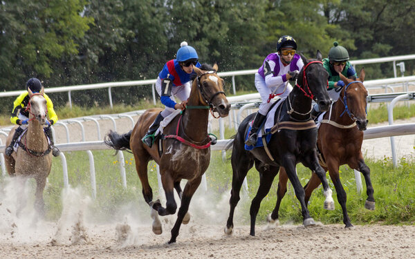 Конный спорт в Пятигорске
