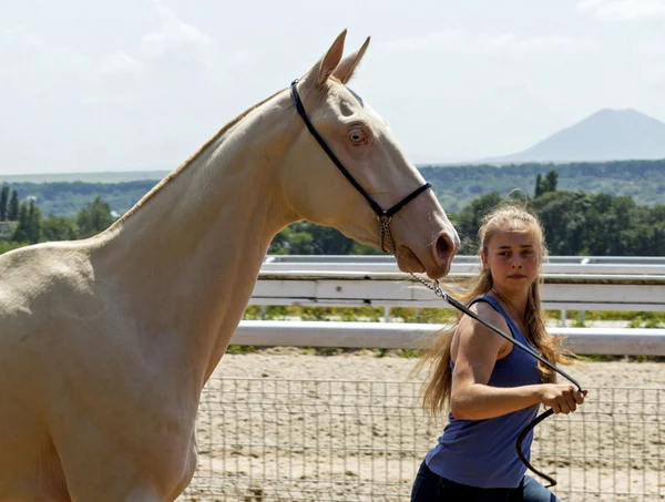 Girl and her horse — Stock Photo, Image